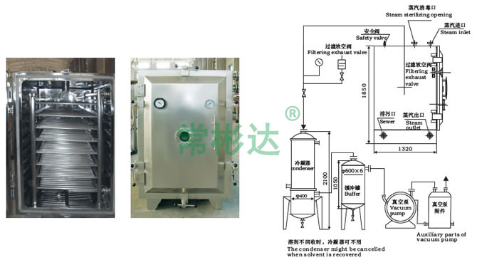 1616653739157789.jpg b.jpg